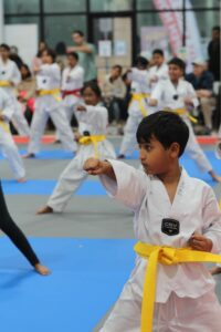 Master Park World Champion Taekwondo